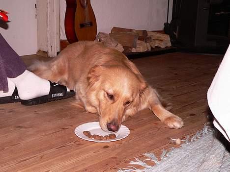 Blanding af racer tøsen - så er der serveret, spis inden kattene kommer og vil være med. billede 4