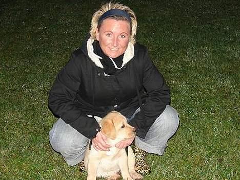 Labrador retriever Xanthos billede 13