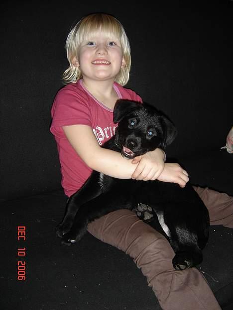 Blanding af racer Fakira - her er mig og min nye legekammerat hun hedder Michelle og er rigtig sød billede 2