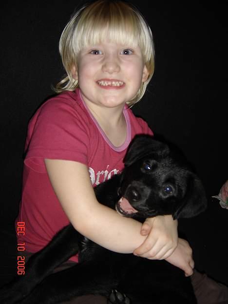 Blanding af racer Fakira - Åhh det er for lækkert... billede 4