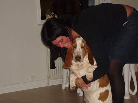 Basset hound ¤Malina¤ billede 19