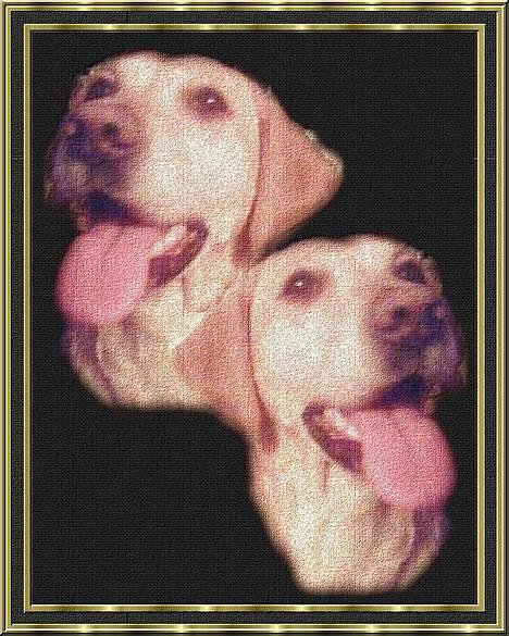 Blanding af racer mille - Mille pigen billede 1