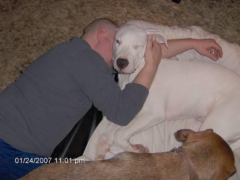 Dogo argentino Tyson - Jeg kan godt li´ min far. billede 15