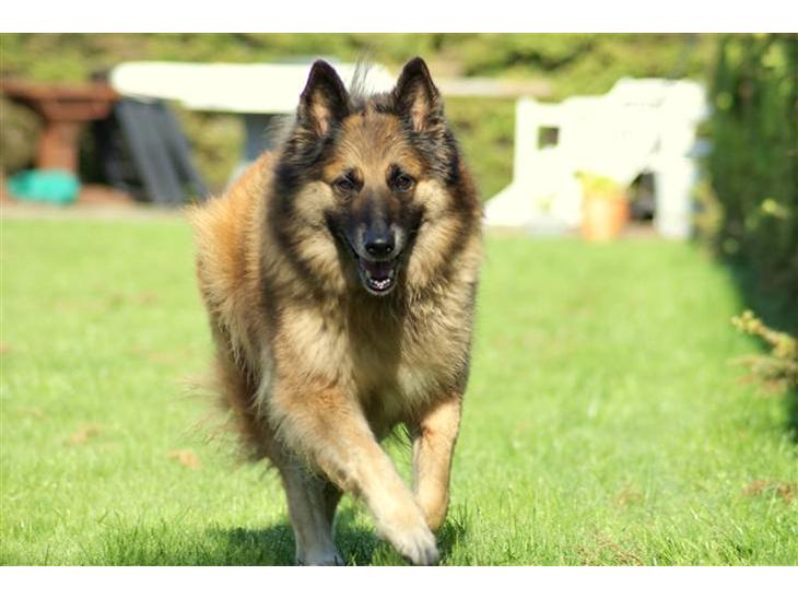 {{currentPhoto.altText}} billede {{currentPhoto.number}}