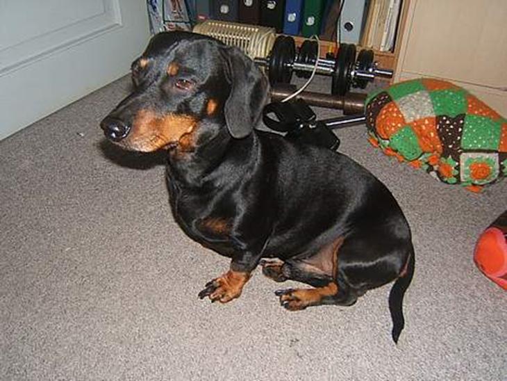 {{currentPhoto.altText}} billede {{currentPhoto.number}}