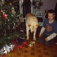 Blanding af racer Roko -* I himlen *