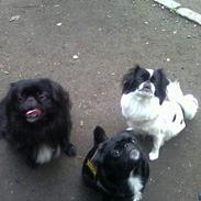 Blanding af racer louis