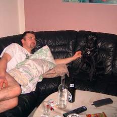 Labrador retriever lucky