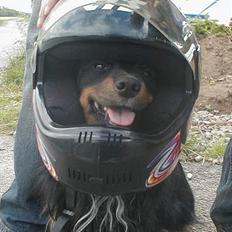 Blanding af racer Max