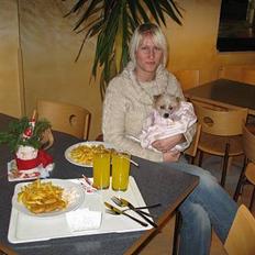 Chinese crested hårløs Elivea - R.I.P.