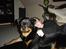 Rottweiler Fønix