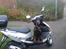 Gordon setter Storaaens Chief "Pelle"