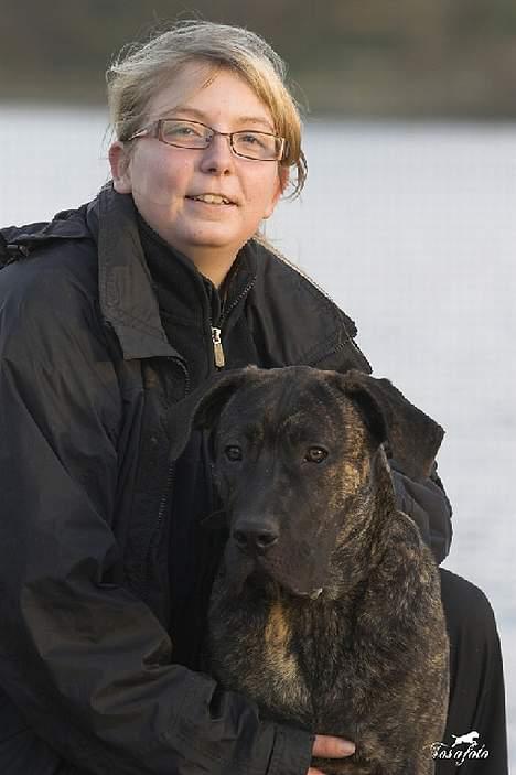 Dogo canario Shanco - her er jeg sammen med min mor billede 5