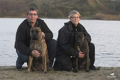 Dogo canario Shanco - Her er min familie billede 7