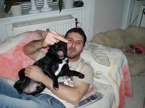 Blanding af racer Tipo - min far og jeg er bare seje når vi rotter os sammen mod mor billede 11