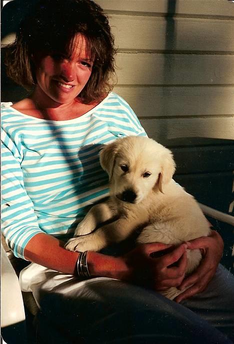 Golden retriever Teddy(i himlen) - her er jeg så med min nye ene ejer ! billede 19