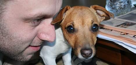 Jack russell terrier Molly - Se min far - han er så glad for mig :) billede 5