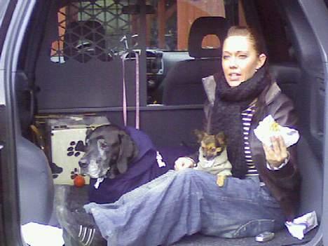 Blanding af racer Freya billede 5