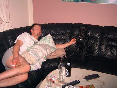 Labrador retriever lucky - HYGGE SAMMEN MED MIN MENNESKE FAR billede 2