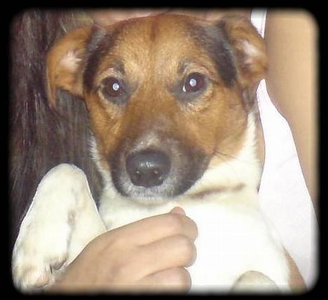 Blanding af racer whisky - Hej fra månen ..  billede 9