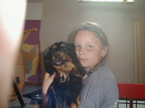 Blanding af racer Max billede 16