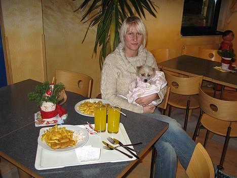 Chinese crested hårløs Elivea - R.I.P. - Her er vi kommet til Tyskland... Vi skulle lige have lidt at spise :) 30-12-06 billede 3