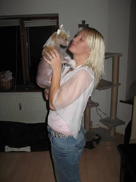 Chinese crested hårløs Elivea - R.I.P. - Pys pys :) 31-12-06 billede 9