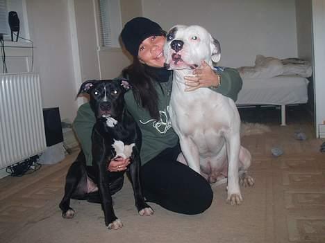 Amerikansk bulldog Ghetto Super Star* R.I.P - Love Ya DoggyZ billede 4