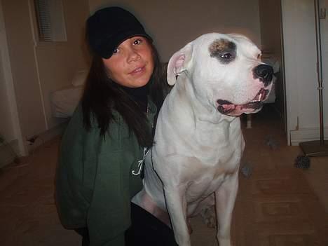 Amerikansk bulldog Ghetto Super Star* R.I.P - Mors dreng billede 5