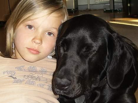 Labrador retriever Mickey - Charlotte & Mickey ¤ billede 4