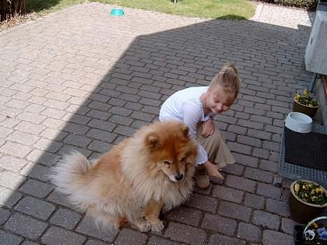 Chow chow Ronja *DØD* :'( - Mig og Ronja bonja :)  ( det er et ret gammelt billed ) billede 3