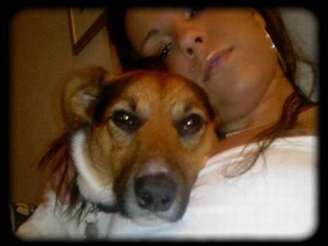 Blanding af racer whisky billede 11