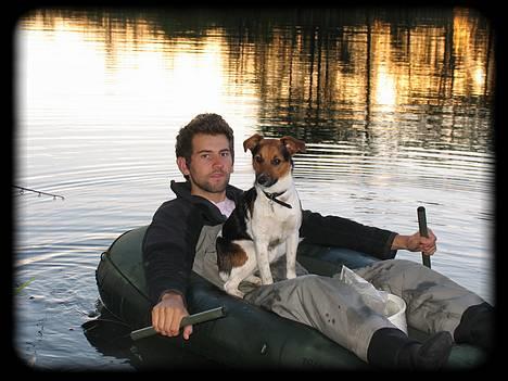 Blanding af racer whisky billede 12