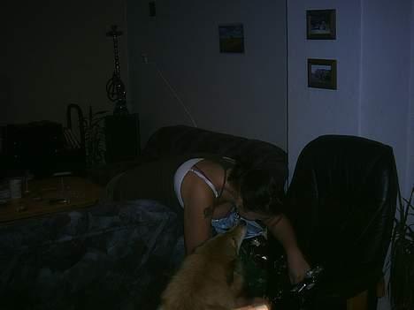 Blanding af racer Chili - Far nåede lige at fange mig, da jeg sprang op i hovedet på Louise :D billede 5