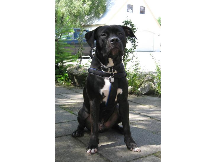 {{currentPhoto.altText}} billede {{currentPhoto.number}}