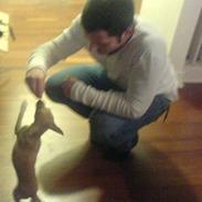 Chihuahua ~ L o u i ~