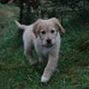 Blanding af racer Bertha