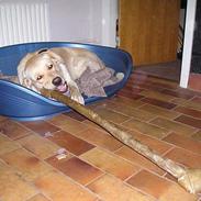 Blanding af racer Stoffer