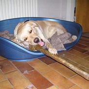 Blanding af racer Stoffer