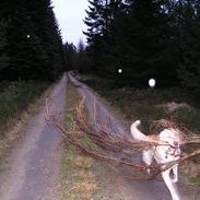 Blanding af racer Stoffer