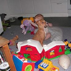 Blanding af racer freja