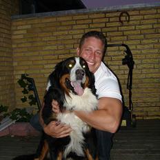 Berner sennenhund Yimbo R.I.P.