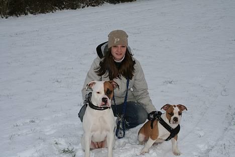 Olde english bulldogge Østergårds Boris - *Jan07* Familie foto jesper tager selvfølgelig billedet.. billede 7