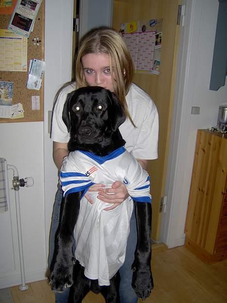 Blanding af racer Thor - her er jeg med min fodboldbluse, jeg er målmand :D billede 20