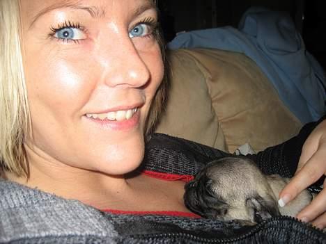 Mops Elvis - Elsker at ligge her og putte hos min mor.... billede 5