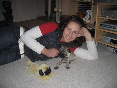 Mops Elvis - Tante Jane er nu også ret så sjov at lege med..-elsker mine tanter.. billede 8