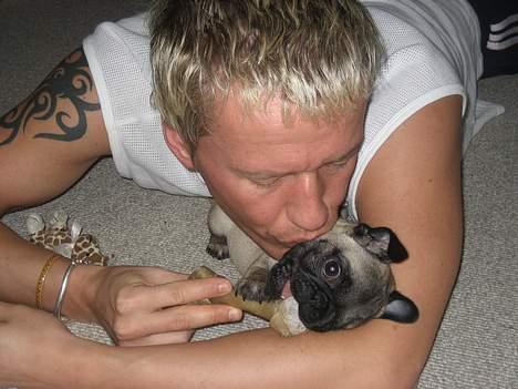 Mops Elvis - leger lige lidt med min far her og mit kødben... billede 13