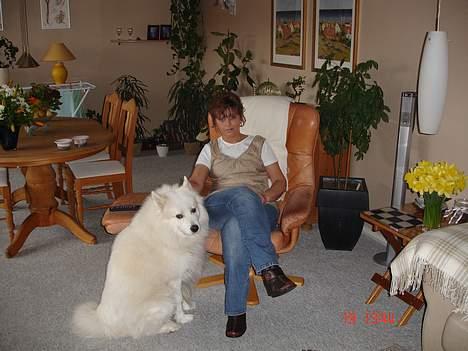 Samojedhund BAMSE. R.I.P (død 25/2 08 - Mig og mor billede 8