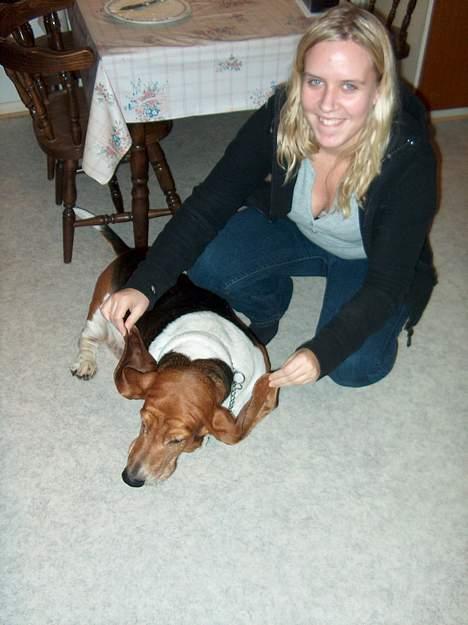 Basset hound Ibrahim DØD - Ibrahim og moster Lisa billede 10