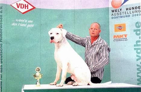 Dogo argentino Sultan  | - 11 mdr gammel blev world champ i dortmund billede 15